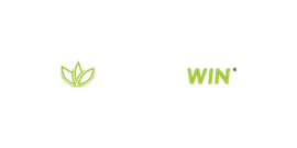 MacaoWin Casino 