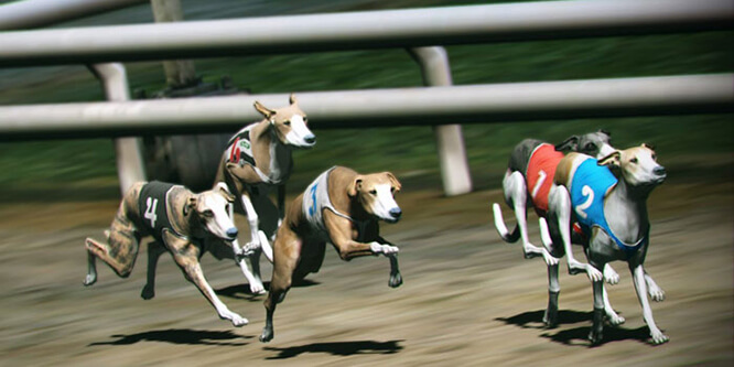 scommesse virtuali scommesse virtuali