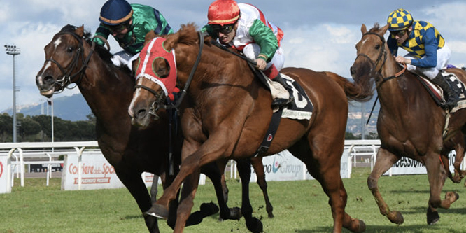 scommesse sull ippica