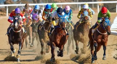 Come scommettere su un cavallo vincente?